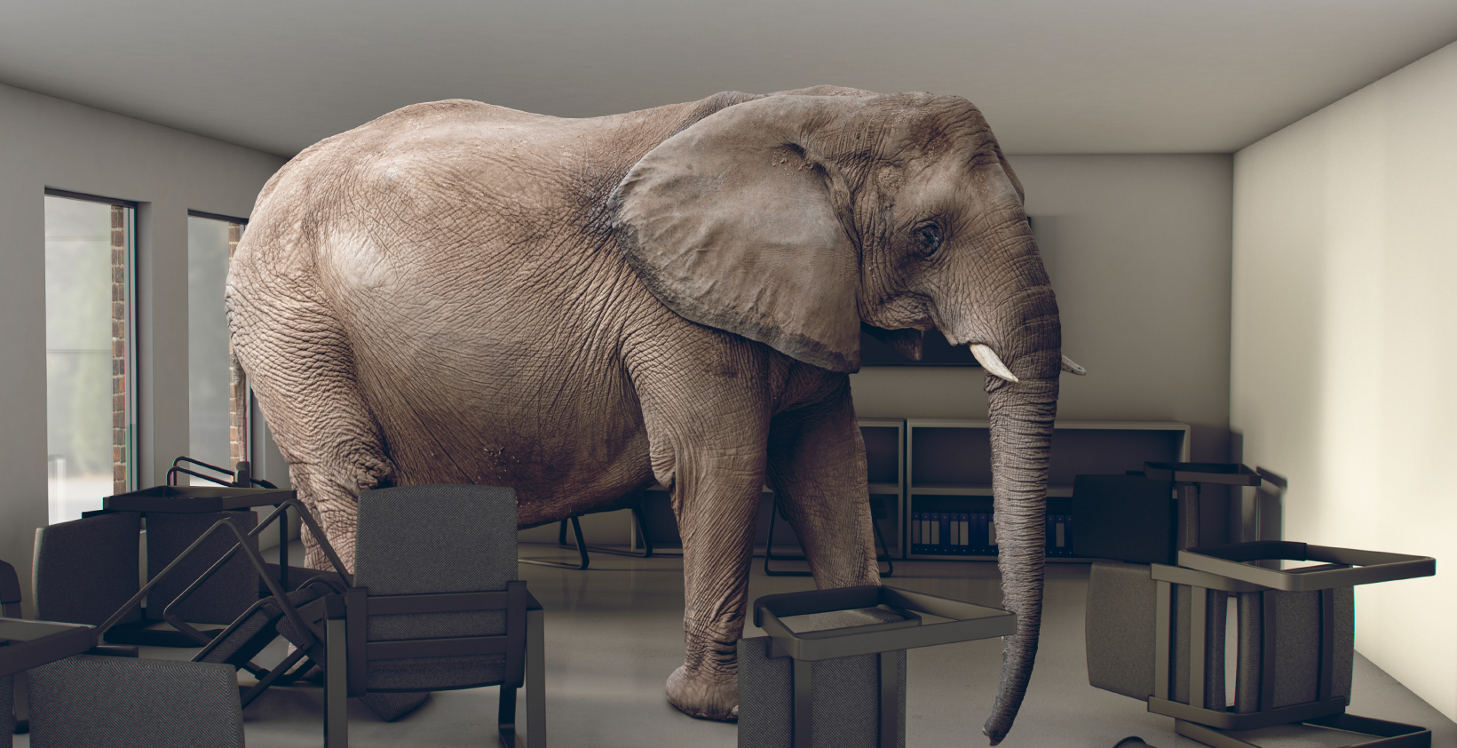 photo realistic elephant in an office space as a metaphor for the risks involved in Franchise Development Planning