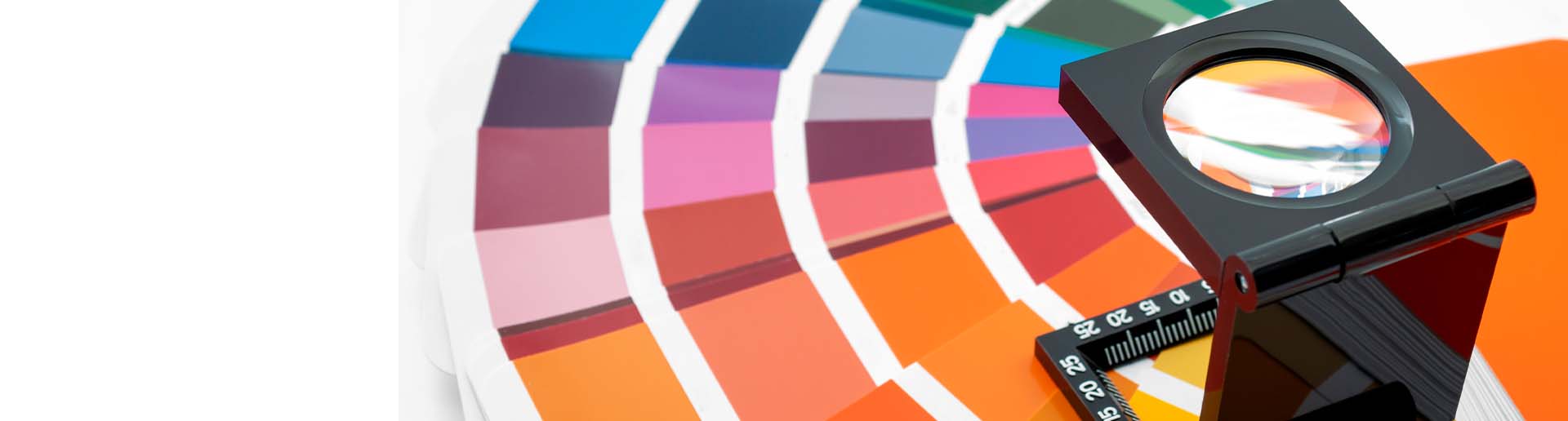 The Psychology of Color in Franchise Branding and Design  